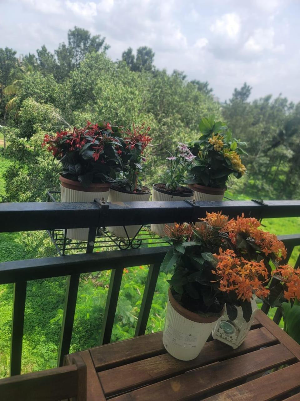 Serene Home Stay Μπανγκαλόρ Εξωτερικό φωτογραφία