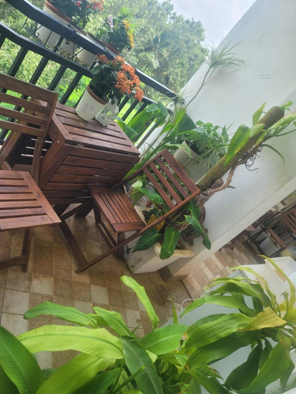Serene Home Stay Μπανγκαλόρ Εξωτερικό φωτογραφία